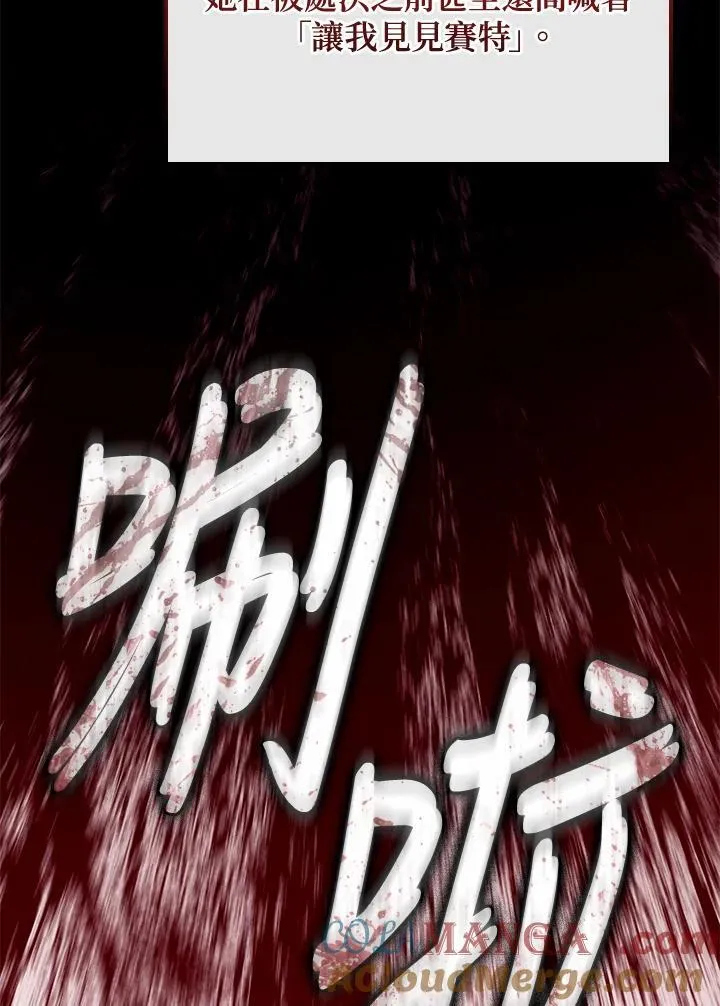 第74话(第1季最终章)16