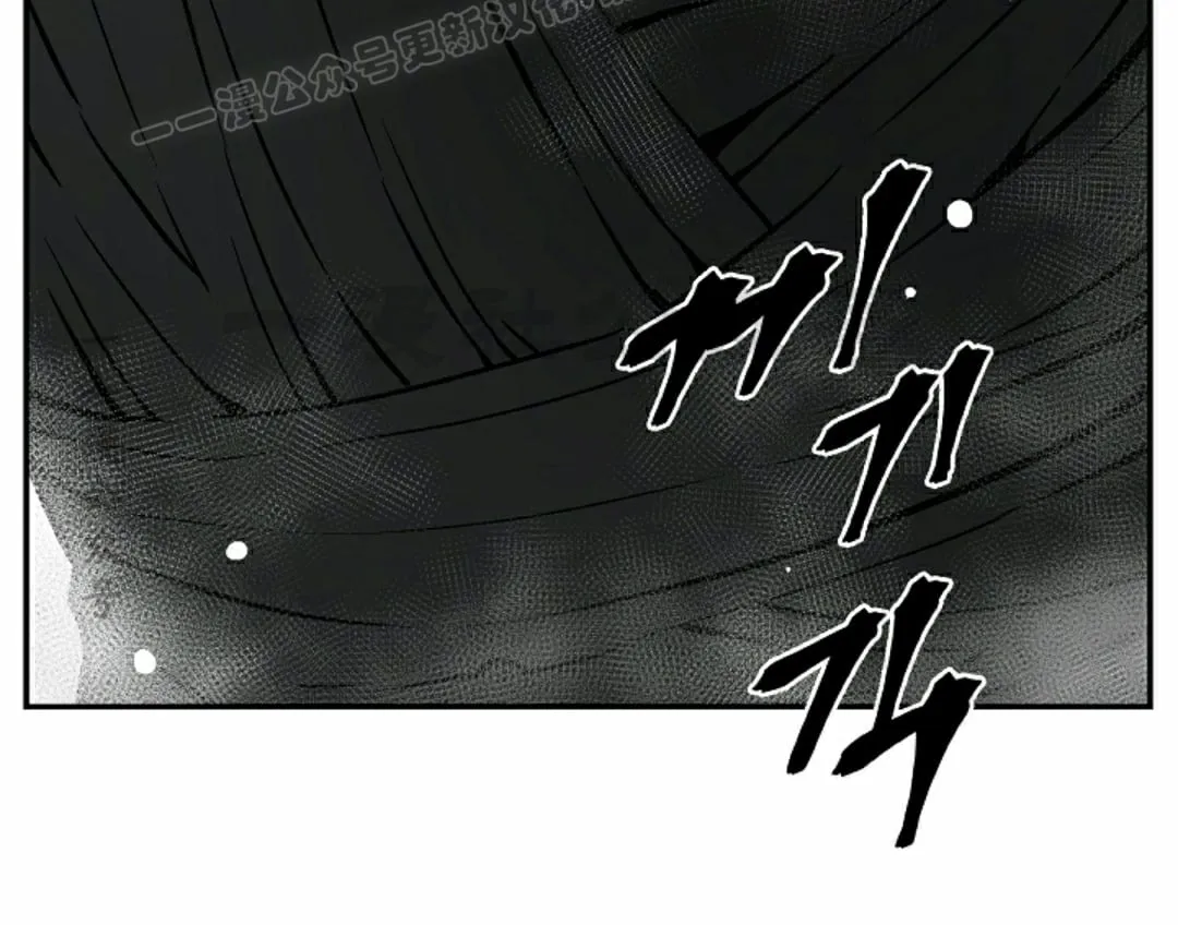 第85集49