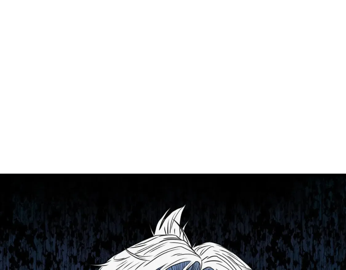 第161话 大会开始163