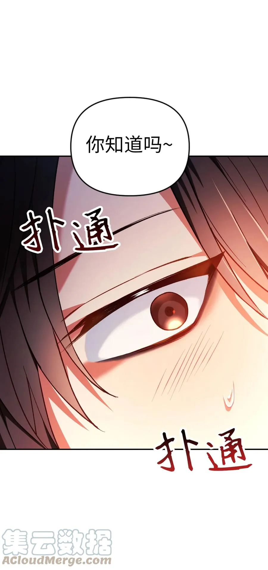 009 同类27