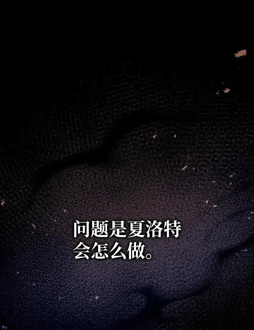 111 跟夏洛雅结婚？44