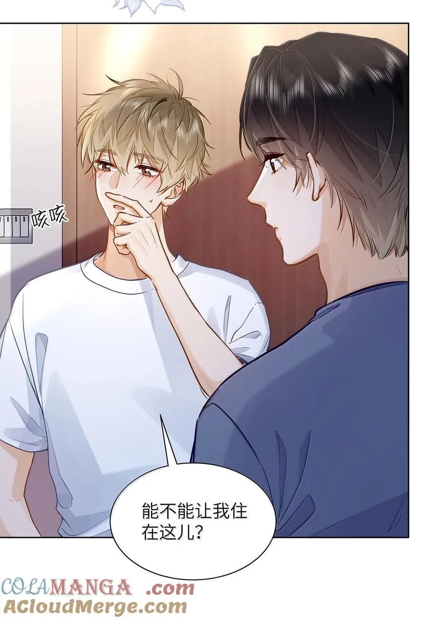 41 路哥，收留我一下吧？20