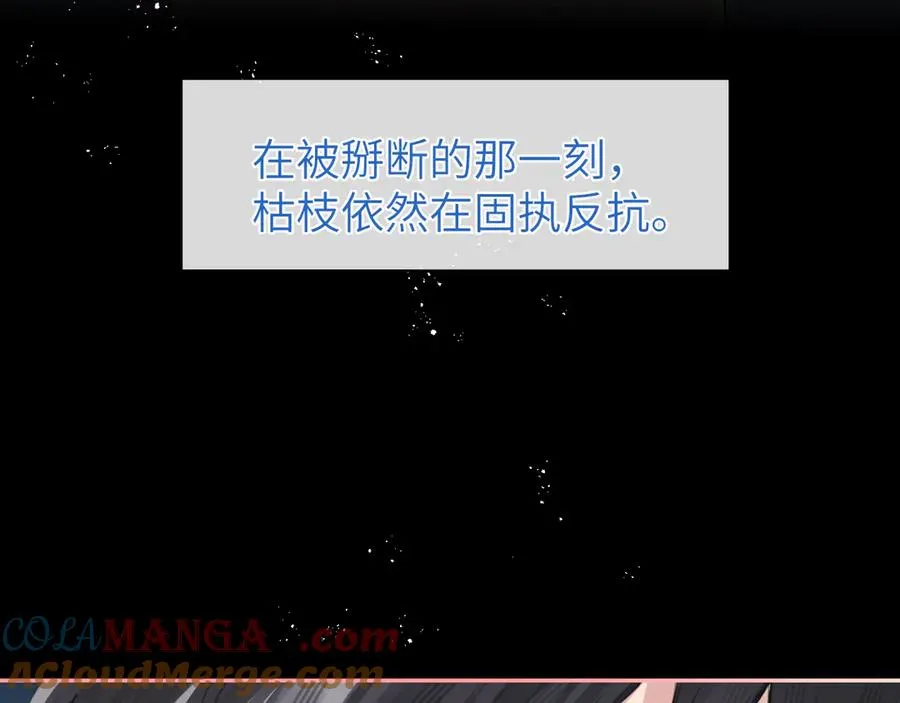 第8话 心仪的枯枝30