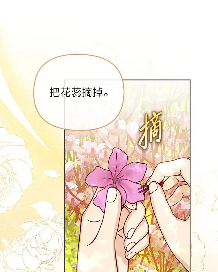 34.庭院散步14
