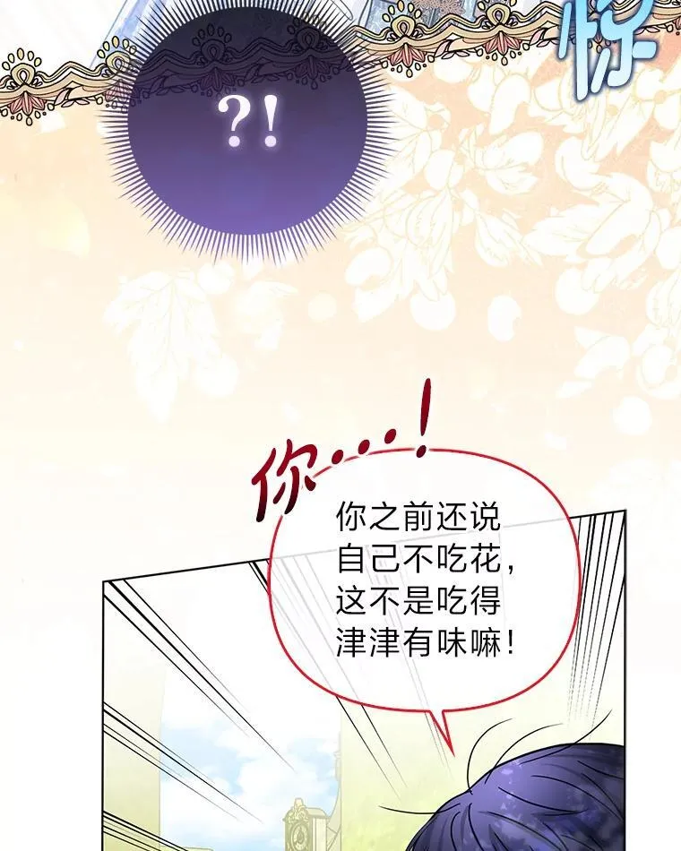 34.庭院散步17