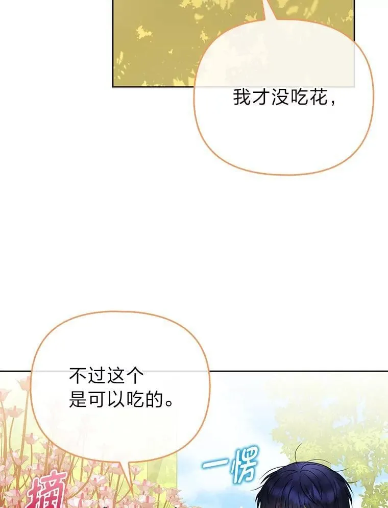 34.庭院散步12