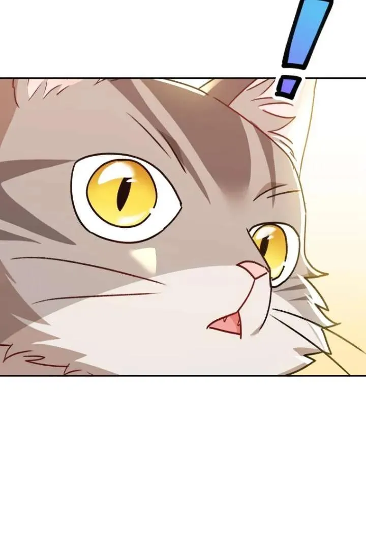 第38话11