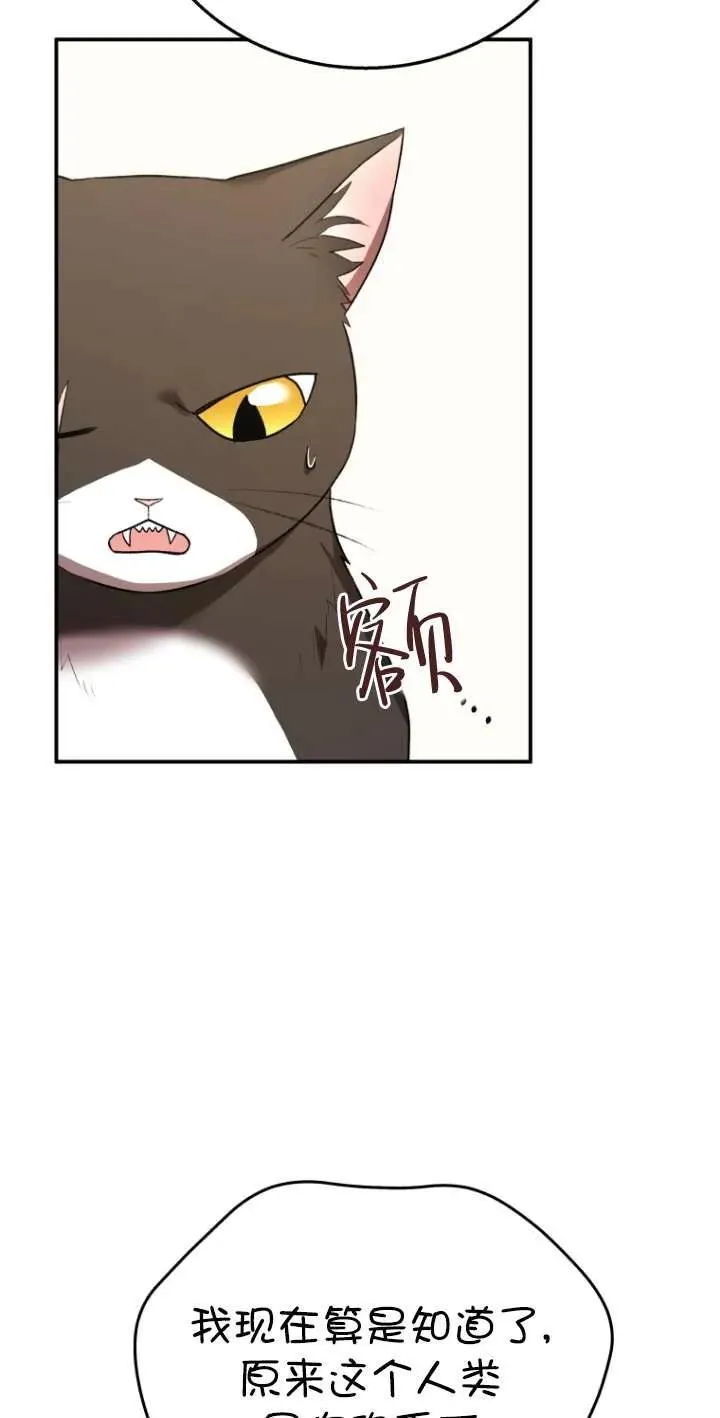 第30话43
