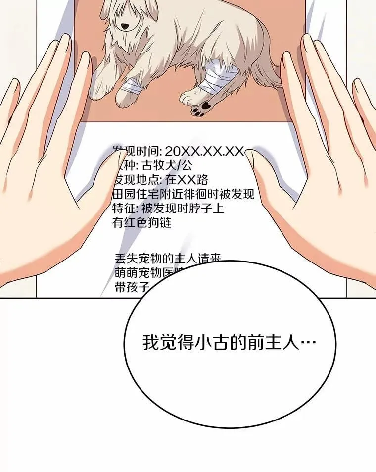 56.你好？兽医先生！47