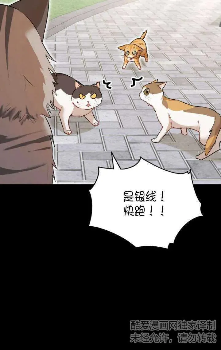 第07话42