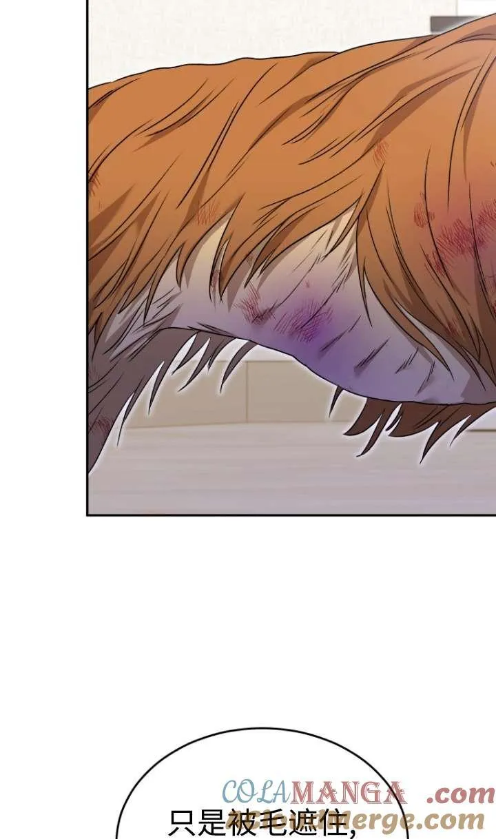 第44话54