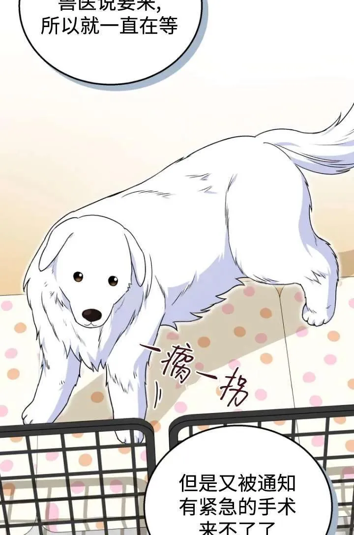 第22话52