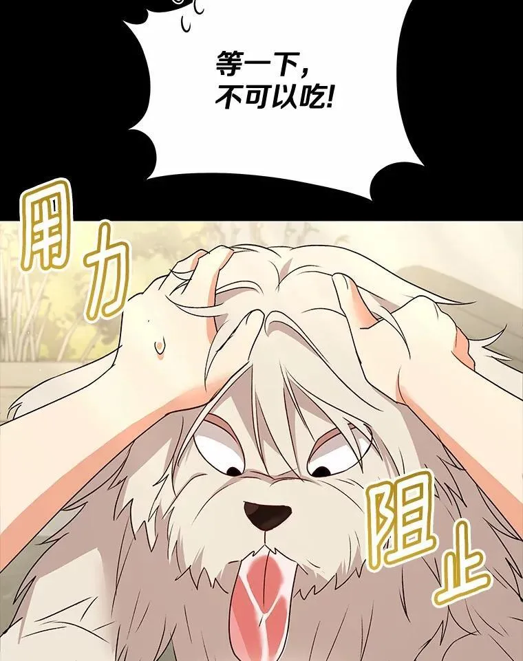 56.你好？兽医先生！5