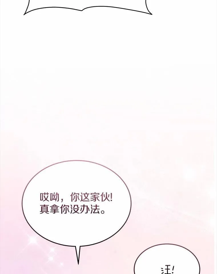 56.你好？兽医先生！8