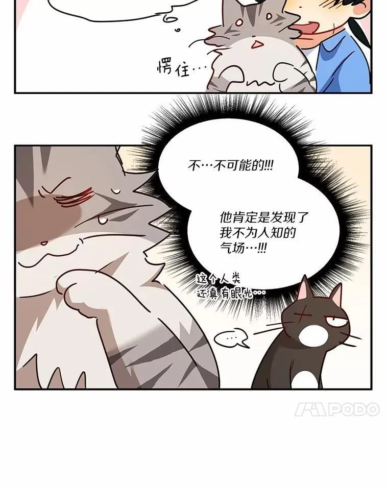 51.我们的新家144
