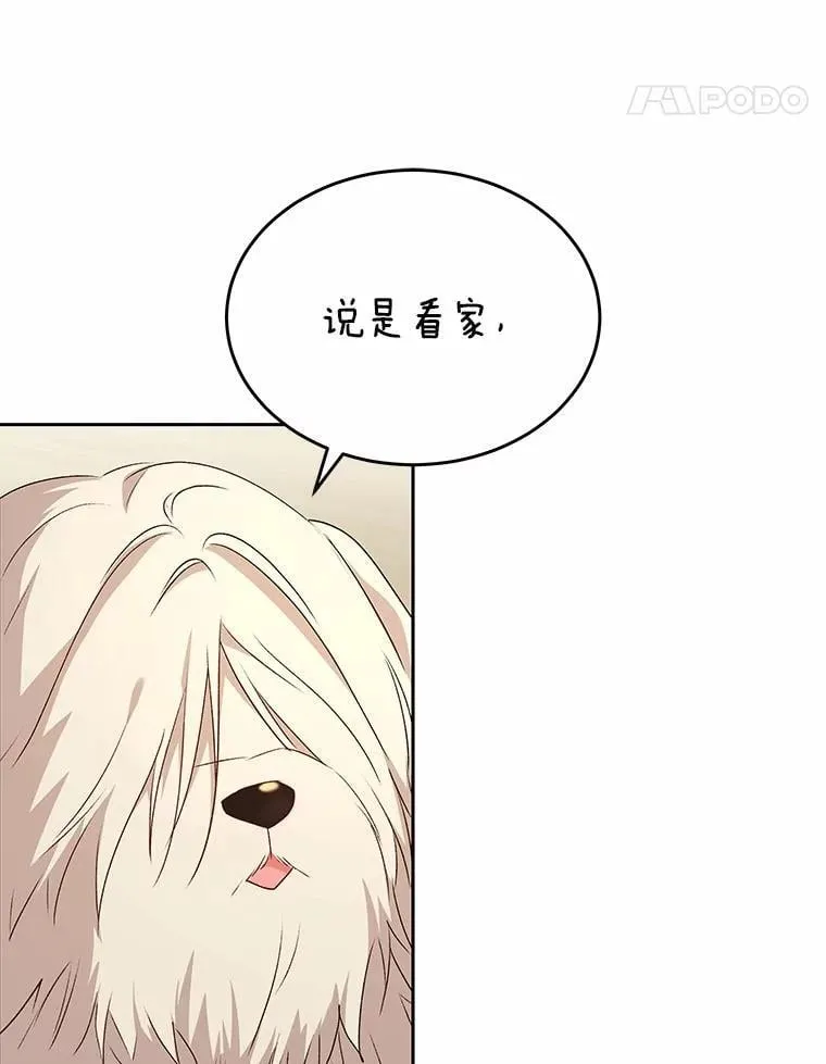 56.你好？兽医先生！72