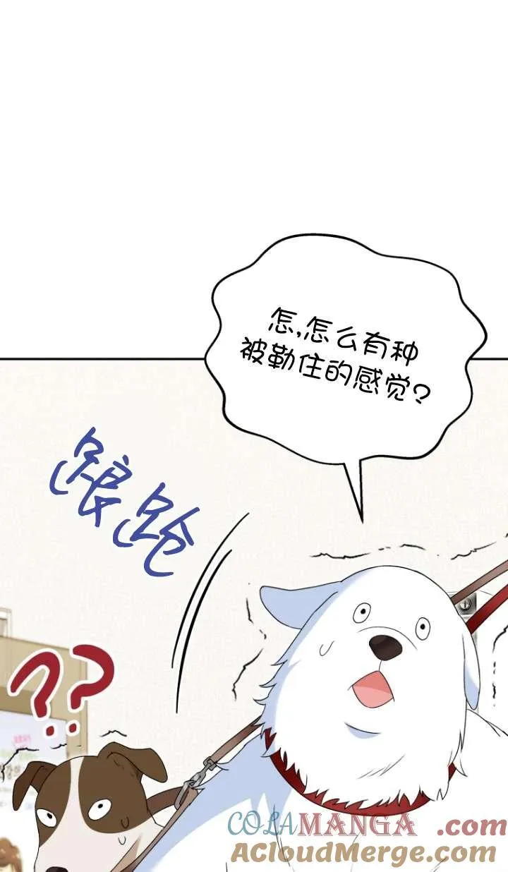 第41话40