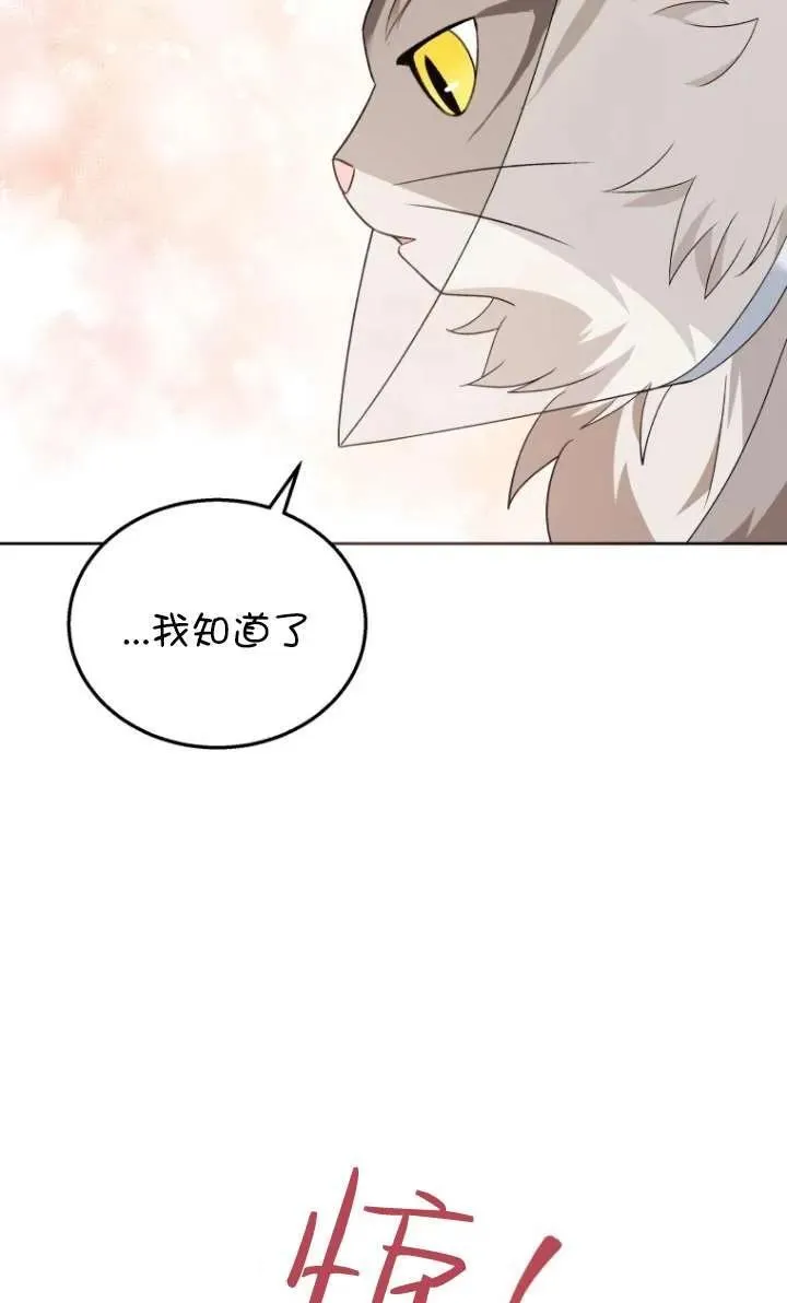 第15话5