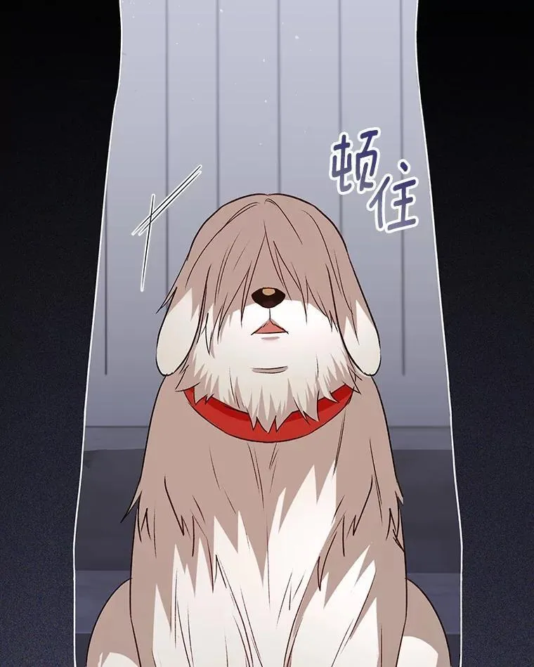 56.你好？兽医先生！17