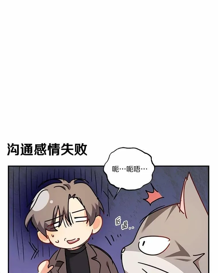 51.我们的新家142