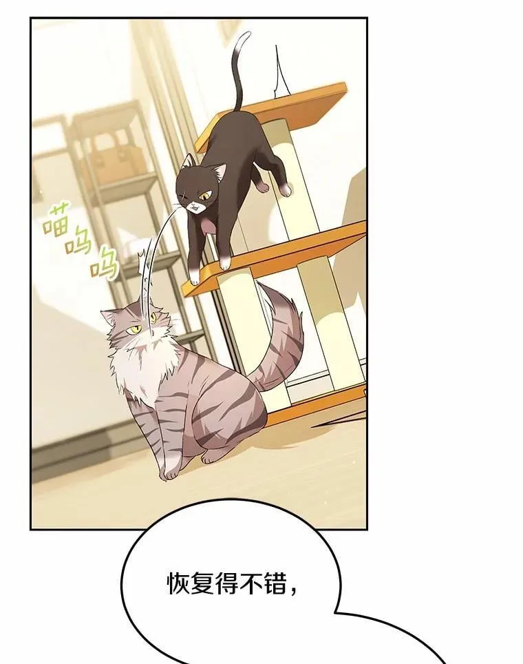 56.你好？兽医先生！93