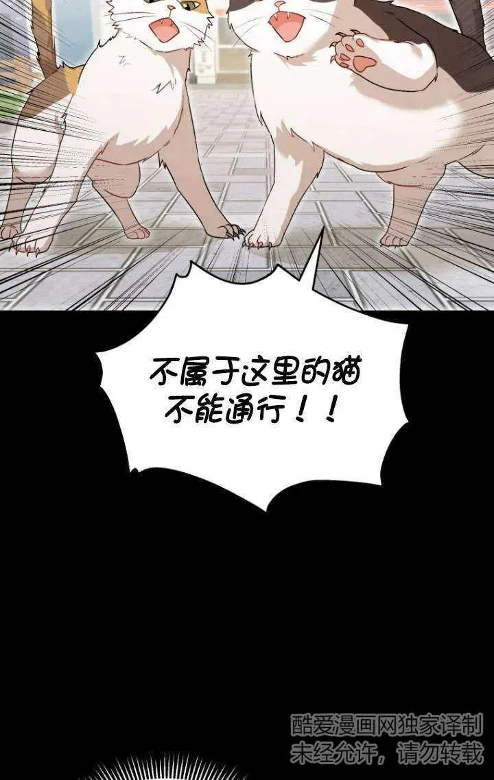 第07话37
