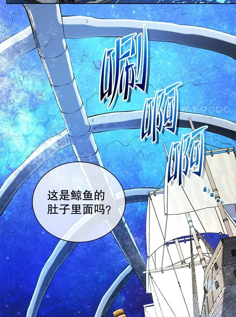 6.新生代表6