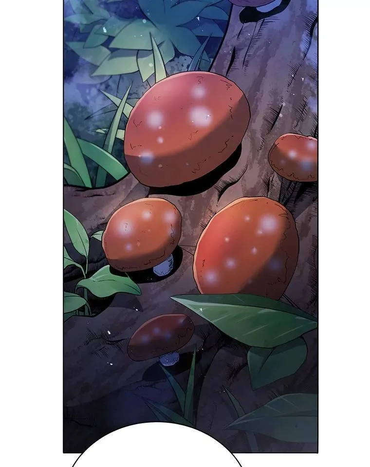 30.差点被抓24