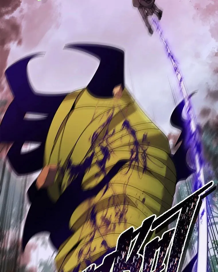 76.神秘羽毛28