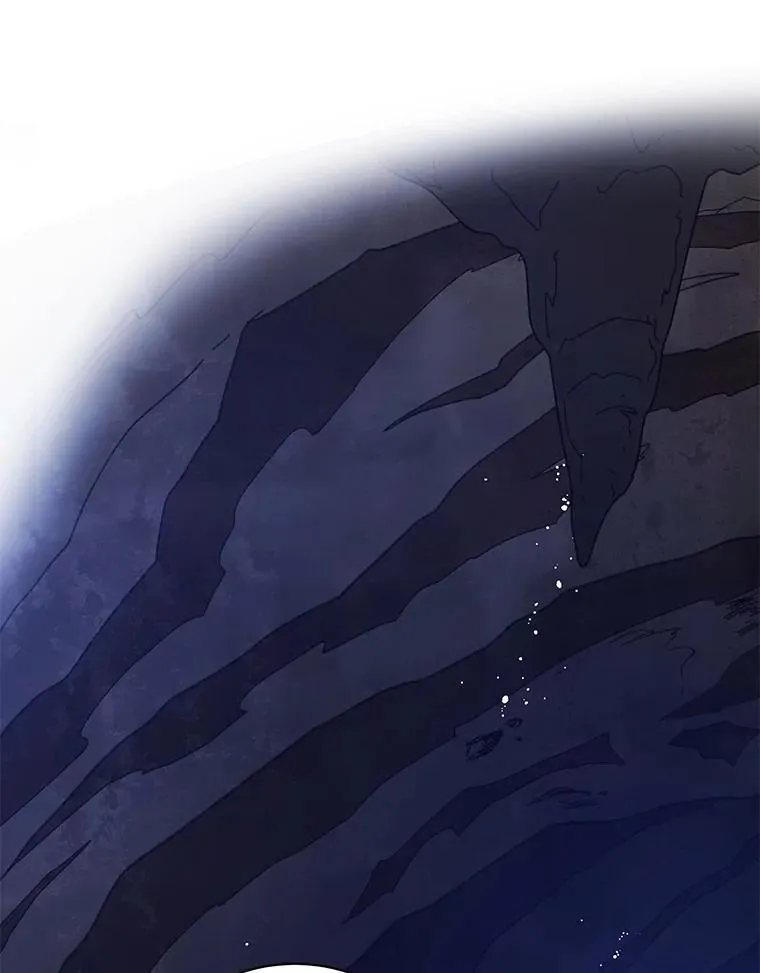 76.神秘羽毛90