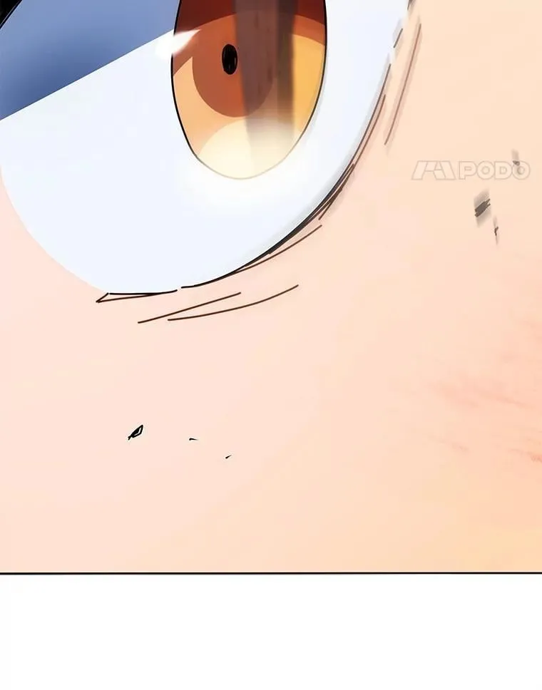 43.满分20