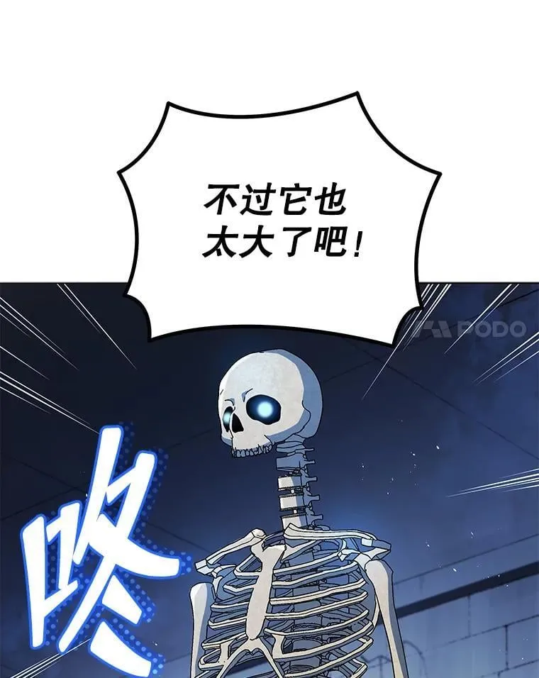 22.军团管理者47