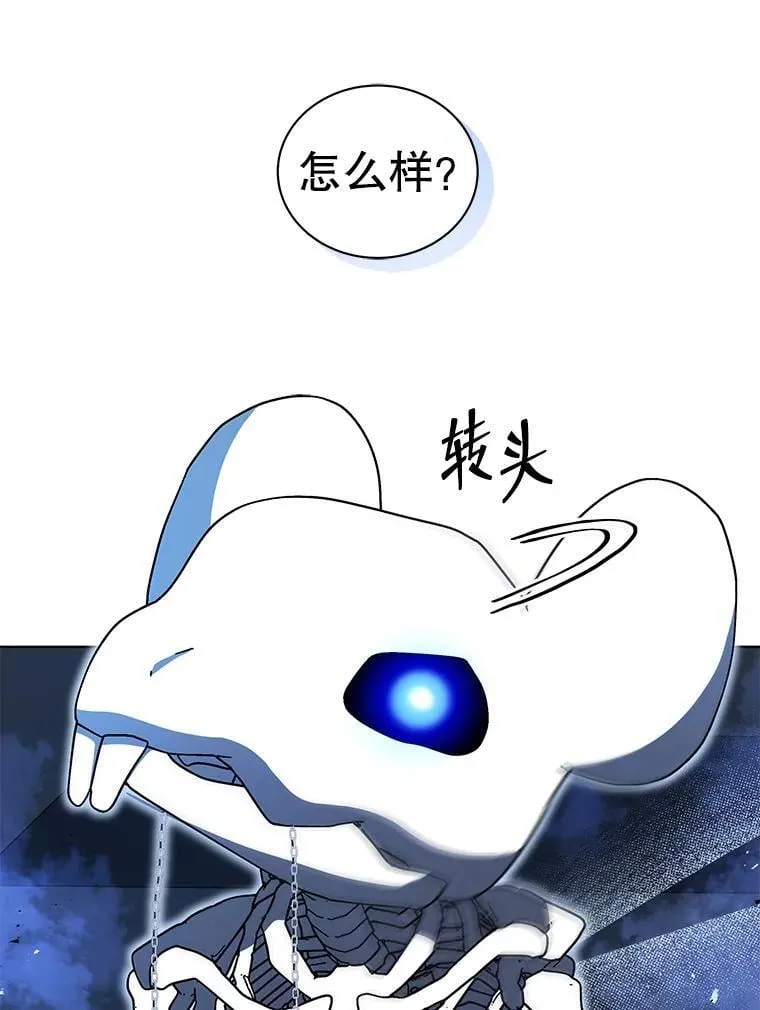 12.赢了126