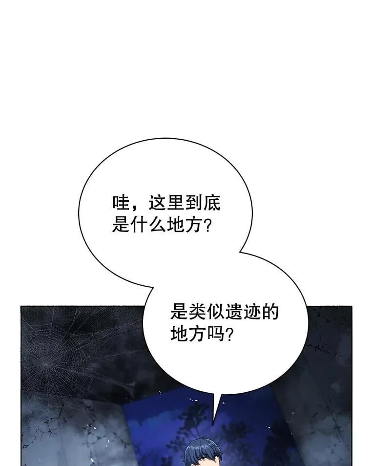22.军团管理者0