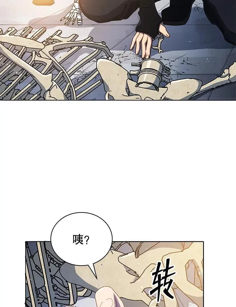 22.军团管理者21