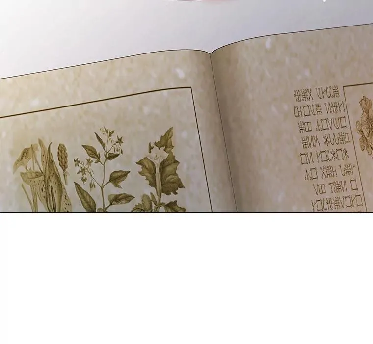 29.分头行动48