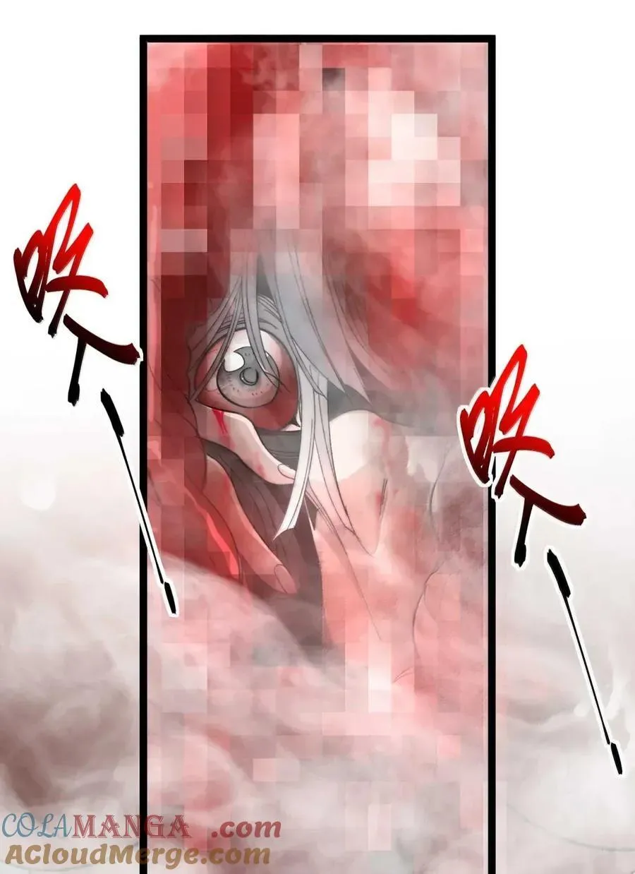 151 会赢的12