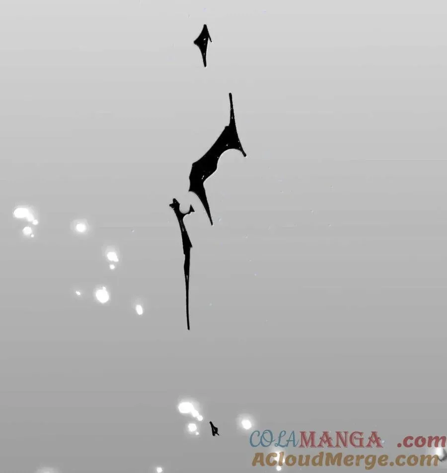 151 会赢的81
