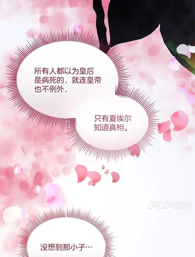 74.实验成功17