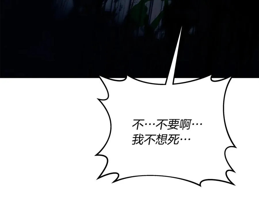第88话 孤注一掷219