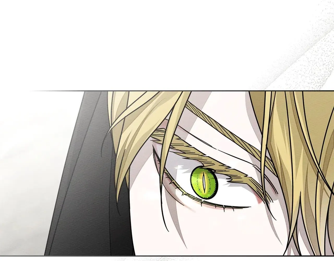 第114话 欠人情？63