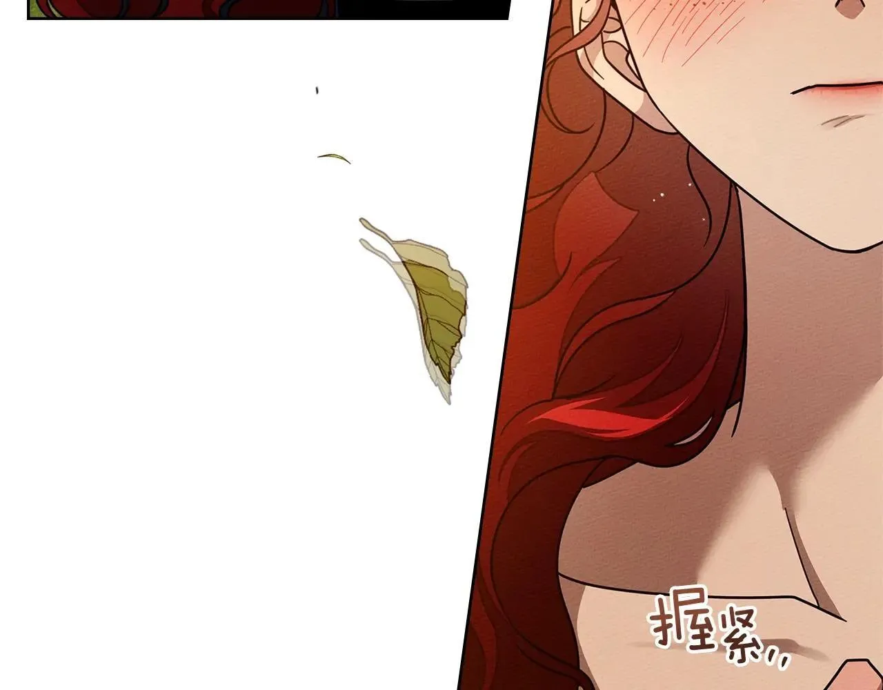 第113话 分离24
