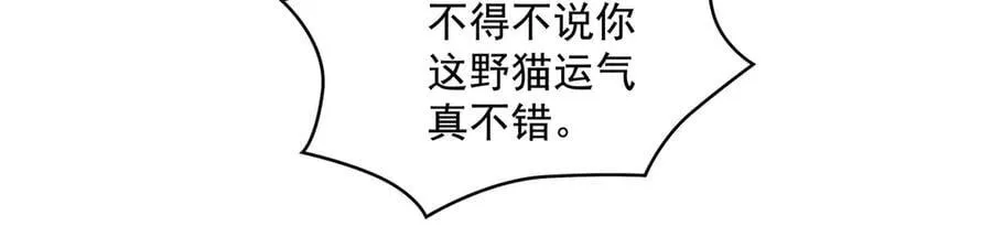 第324话 大杀四方113