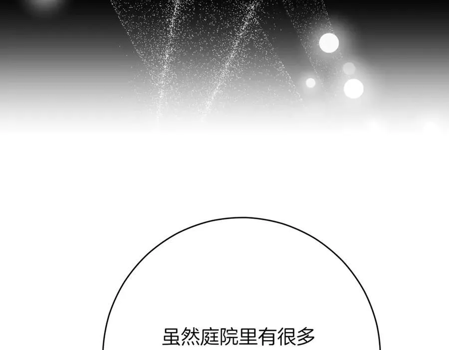 第217话 兄妹情深91