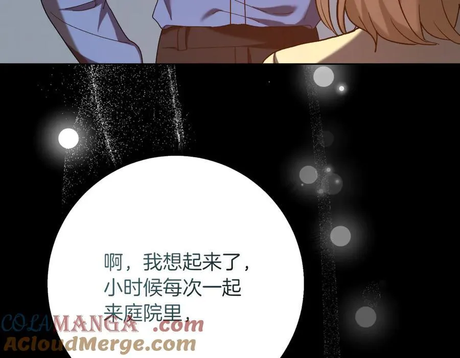 第217话 兄妹情深80
