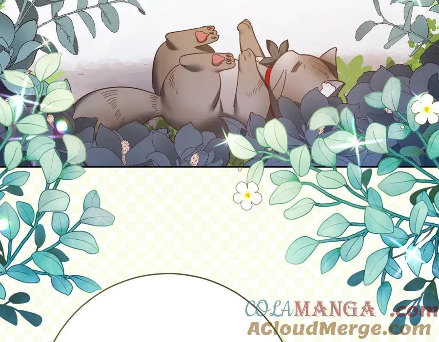 第217话 兄妹情深116