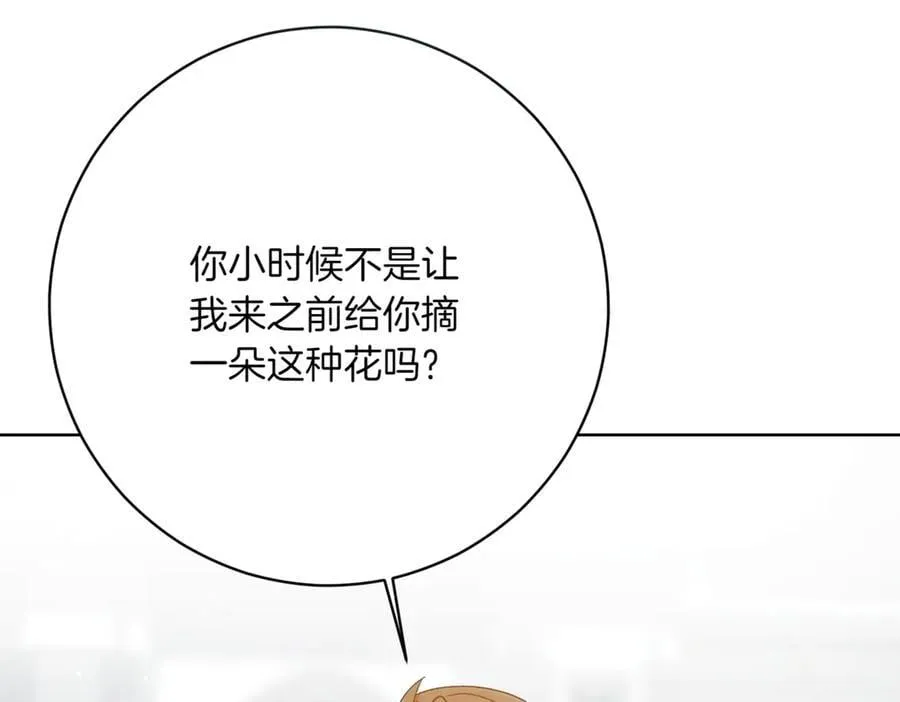 第217话 兄妹情深78