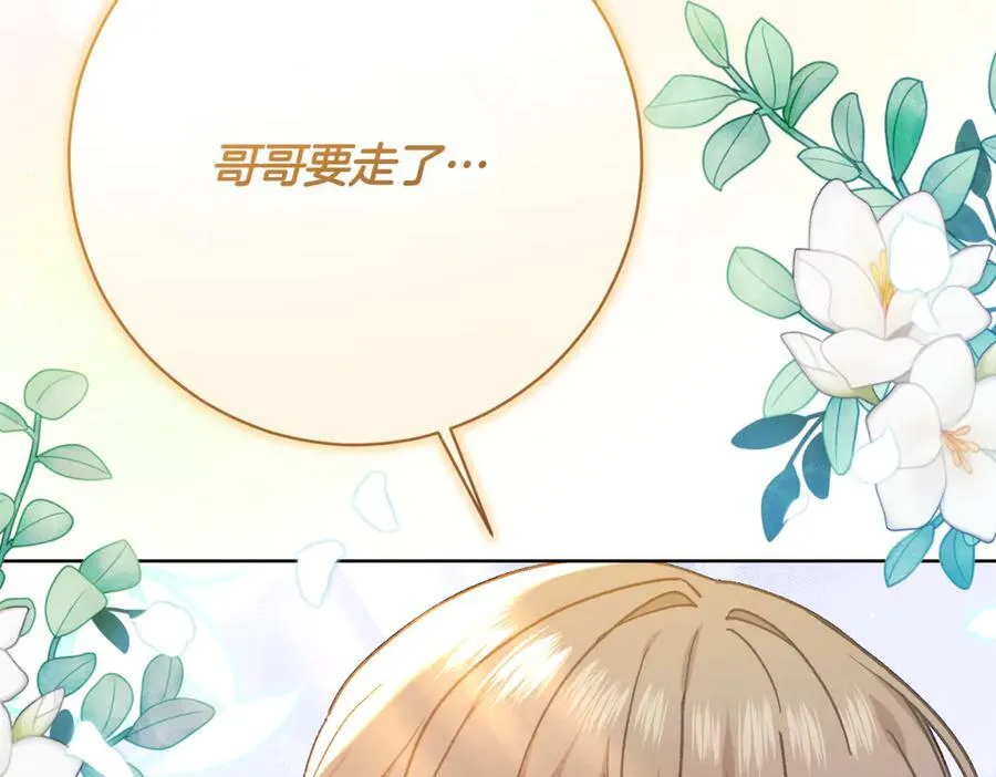 第217话 兄妹情深193