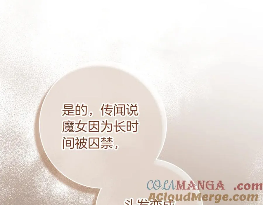 第136话 魔女长相曝光140
