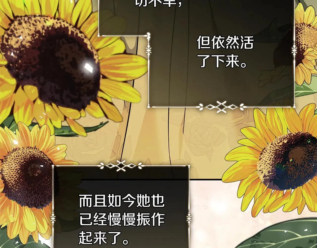 第221话 神的旨意74
